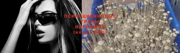 mdpv Зерноград